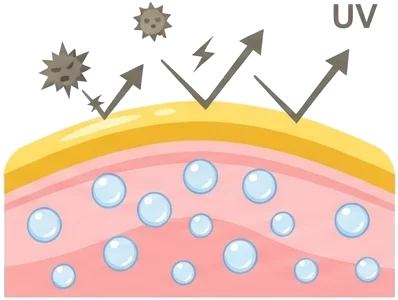 Les fonctions clés de ces lipides essentiels